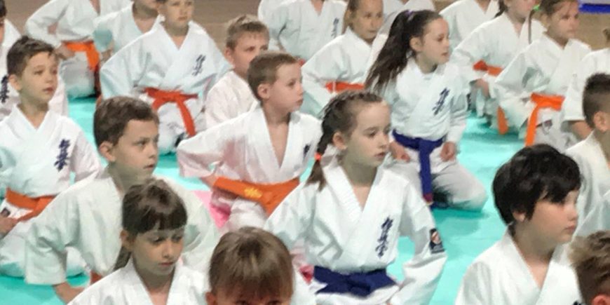 SUKCESY W PUCHARZE ŚLĄSKA KARATE KYOKUSHIN SUKCESY W PUCHARZE ŚLĄSKA KARATE KYOKUSHIN
